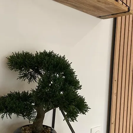 Apartment Energyzen - Gite& Alsace - Le Refuge Des Anges