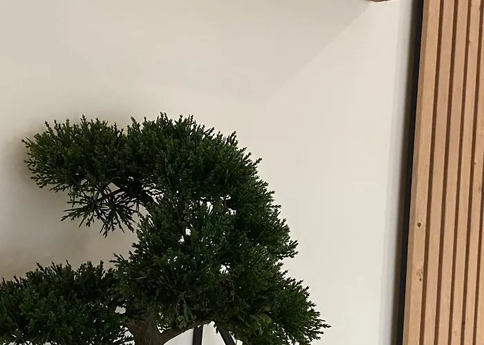 Apartamento Energyzen - Spa Alsace - Le Refuge Des Anges