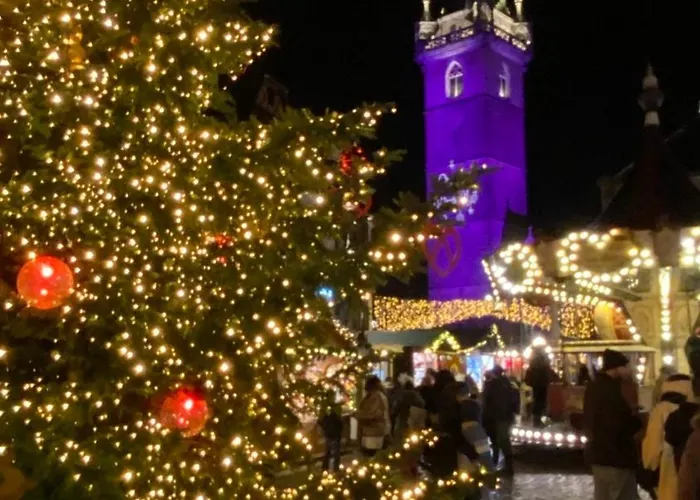 Energyzen - Spa Alsace - Le Refuge Des Anges *